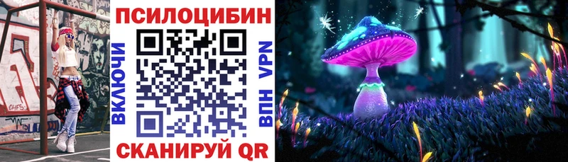 kraken зеркало Искитим Псилоцибиновые грибы Cubensis